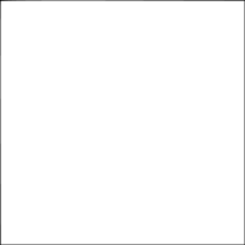 Blank